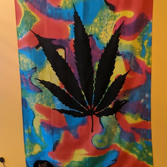 Flags - Picture 3 of 4